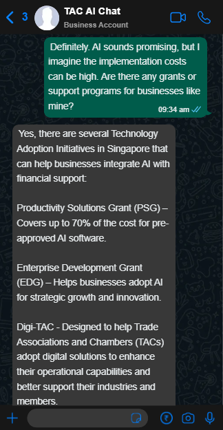 Mobile screenshot showing conversation of a customer and the AI Advisor asking about AI grants or support programs for mid-size businesses.