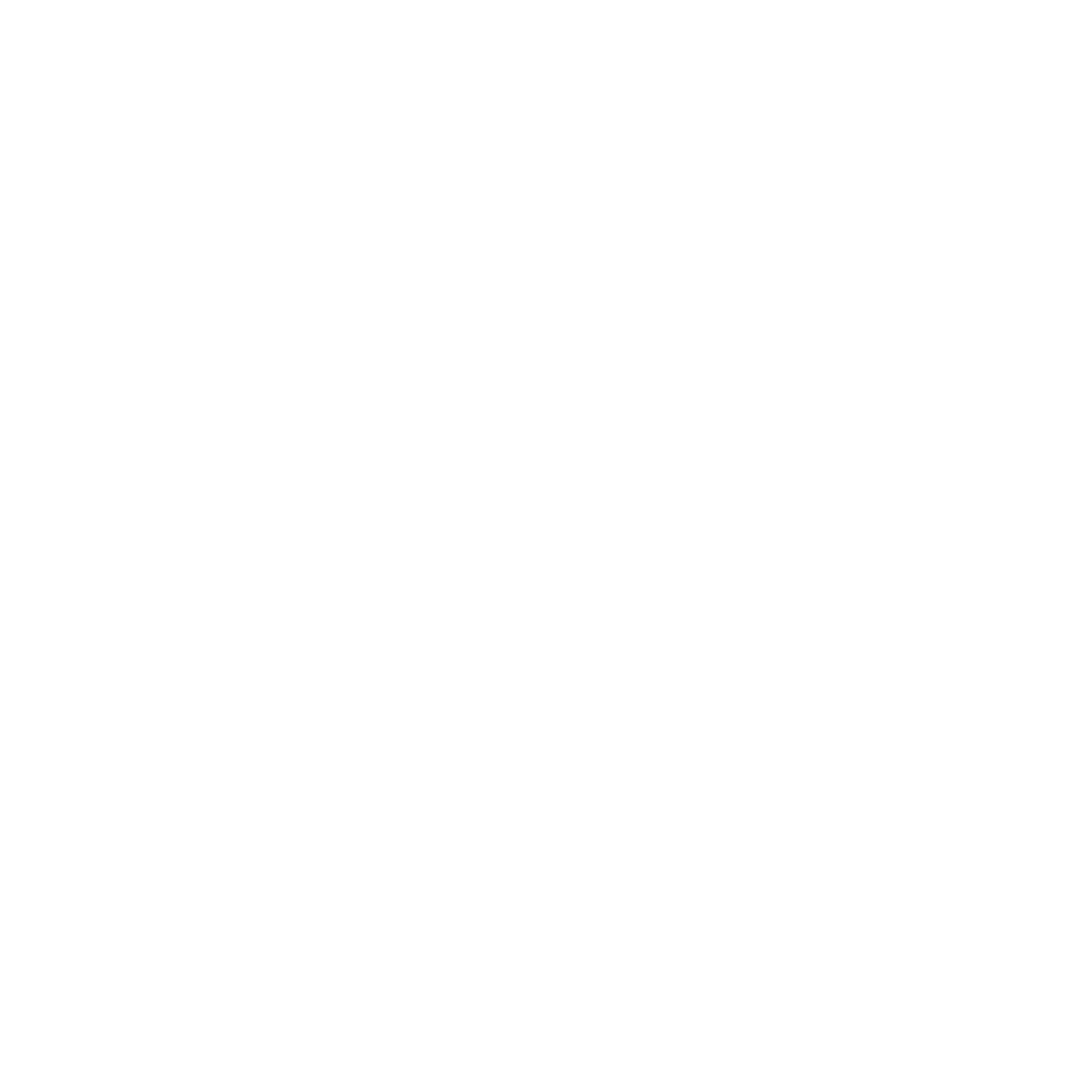 Governance and ownership structure icon